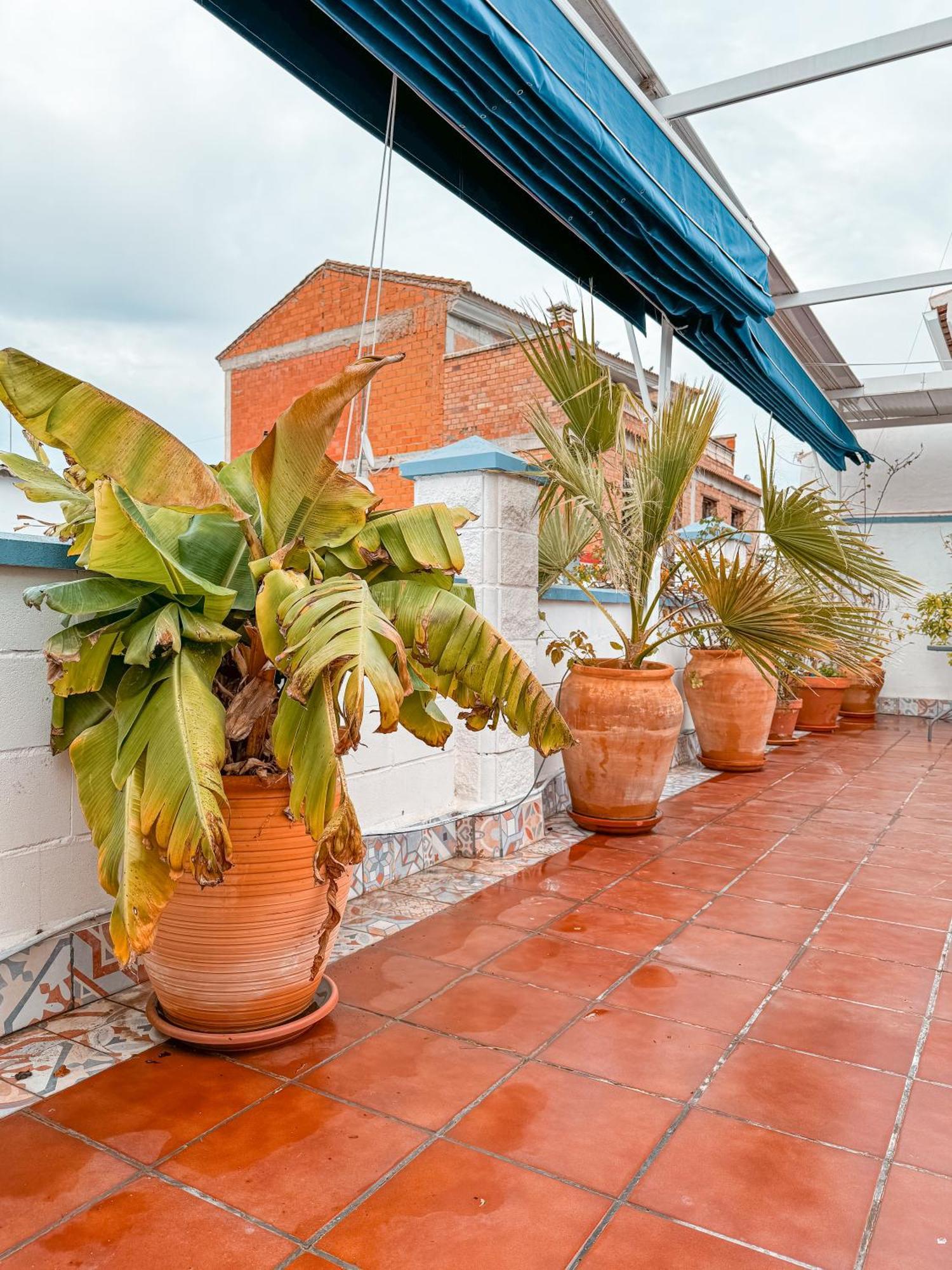 Casa Cruz Villa Almodóvar del Río Exteriör bild
